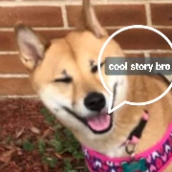 Meet your Posher, Gregory - Picture 5 of 5